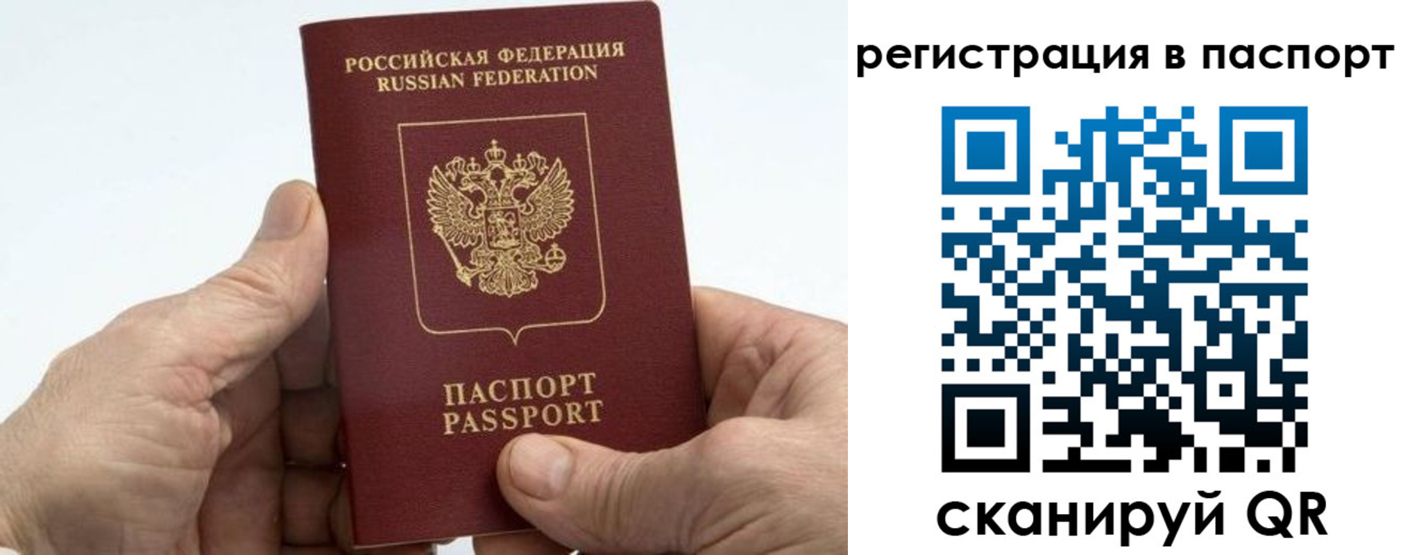 купить прописку в Гороховце